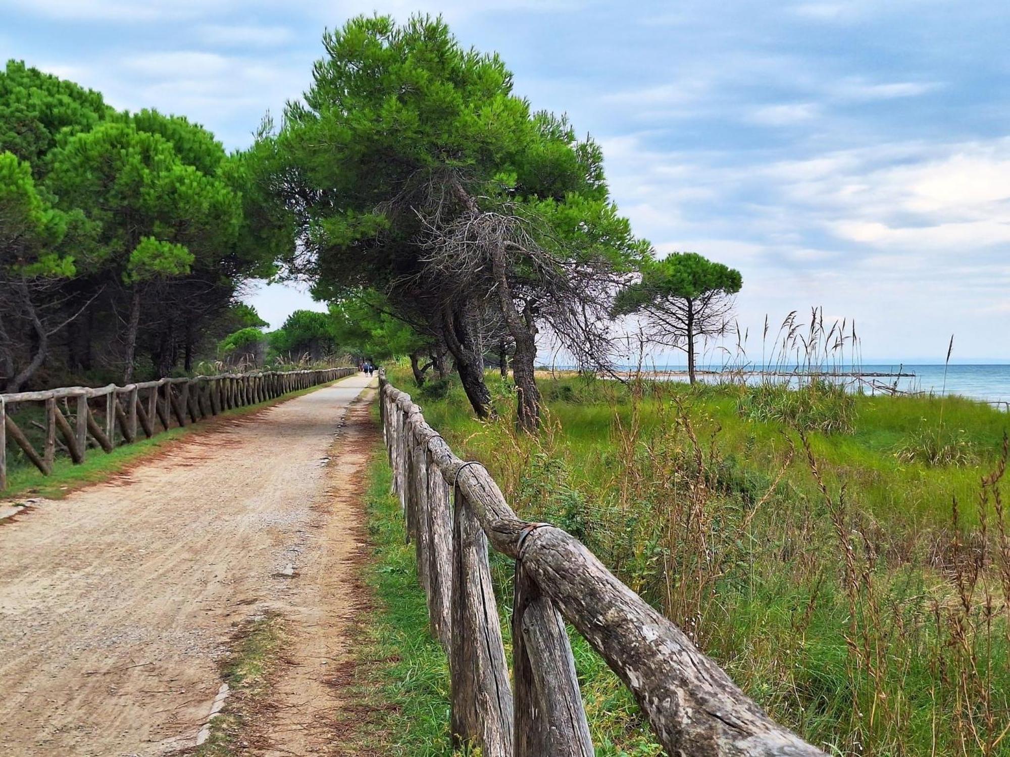 Beautiful Apartment Close To Bibione Beach - Beahost Exterior foto